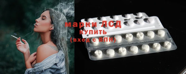 PSILOCYBIN Алзамай