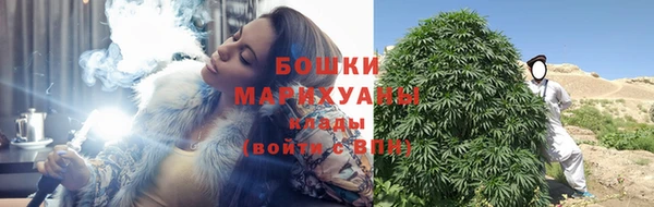 PSILOCYBIN Алзамай